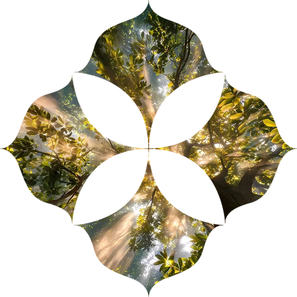 Nature — Vyan monogram inspiration
